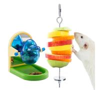 Jevnd 2Pcs Rat Enrichment Toys Set - Stainless Steel Fruit/Veg Holder & Treat Dispenser, Interactive Foraging Puzzle Toys for Rats/Mice/Birds, Cage Accessories with Hanging Feeder & Intelligence Game