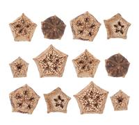 JEWEDECO 12pcs Natural Dried Fruit Parrot Foraging Chewing Biting for Parakeets Budgies Cockatiels Healthy Mental Stimulation Bird to Reduce Boredom and Destructive Behavior