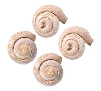 JEWEDECO 4pcs Fossilized Snail Ornaments Educational Paleontology Science Teaching Props Table Decoration for Learning Geology and Creativity Development