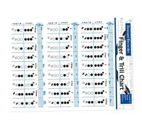 JEWEDECO Bass Recorder Chord Chart with 8-hole Fingering Guide, Flute Practice Poster for Beginners, Portable Music Chord Chart for Recorder Students and Clarinet Learning