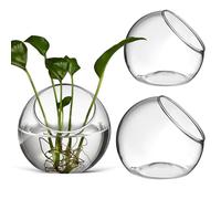 JEWEDECO Glass Terrarium Containers round 3 Pcs with Beveled Opening for Easy Plant Display Chic Glass Plant Containers for Gardens and Office Decoration