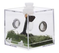 JEWEDECO Insects Feeding Case Spider Enclosure Box Compact Convenient Acrylic Pet Supply Habitat Box for Feeding Reptiles and Pet Keeping Suitable for Scorpions Snails