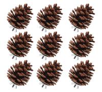 JEWEDECO Natural Pine Cone Chewing Accessories 10pcs Bird Chew Toys Hard to Scratch for Small Animals and Pet Birds for Birdcage Foraging and Play
