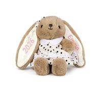 Jeweidea Personalised Bunny Rabbit Soft Toy with Name for Newborns Baby Comfort Plush Toy for Boys Girls for Baby Birthday Gifts Baby Shower Christening Gifts (Style 1)