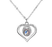 Jeweidea Photo Necklace Personalized Photo Projection Pendant Necklace with Picture Inside Silver Necklace for Her/Women/Girlfriend/Mum Jewelry Birthday Valentine's Day Christmas (A)