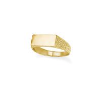 Jewelco London Women's 9ct Gold Engravable Barked Initial Blank Plate Signet Ring - JIR002 | Size: J Jewelco London Gold J