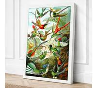 Jewelled Hummingbirds Canvas Wall Art Print 30x20 Inch