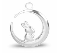 jewellery 10Pc/Lot The Rabbit on Moon Stainless Steel Crescent Pendant Making Craft Necklace for Women Jewelry Earring Material