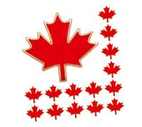 jewellery 24pcs Bag Pin Men Pins Maple Leaf Lapel Badge Jewelry Thanksgiving Brooches for Women Dress Brooch Metal Red jewellery