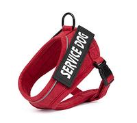 jewelora Personalised Cat Harness Escape Proof Walking Kitten Vest Harness with Reflective Strips Adjustable Step-in Breathable & Soft Puppy Kitten Harness for Outdoor Walking (Red)