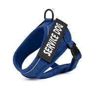 jewelora Personalised Cat Harness Escape Proof Walking Kitten Vest Harness with Reflective Strips Adjustable Step-in Breathable & Soft Puppy Kitten Harness for Outdoor Walking (Blue)