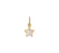 Jewelry Affairs Yellow Gold Mother of Pearl Star Pendant, 13x7mm