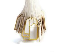 Jewelry Display Lanyard Tags with Custom Printable Blank Labels, Gold and Silver Edge Paper Tags, Suitable for Jewelry, Watches, Clothing, and Stationery, 500+100 Pack (Gold-100pcs)