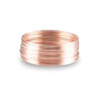Jewelry Wire 50 Memory Steel Wire Beading for Jewelry Making Wrapping Necklaces Cable