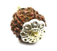 Jewelryonclick Genuine 5 Mukhi Five Face Rudraksha Pendants 925 Silver Shiv Rudraksha Meditation Locket