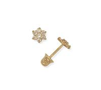 Jewelryweb Solid 14ct Womens Cubic Zirconia Small Flower Screw Back Stud Earrings (Yellow Gold)-Stud Earring for Women