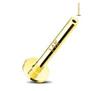 Jewseen 14K Gold Threadless Post Push-in Labret, Nose Ring, Cartilage Stud, Lip Piercing Flat Back Helix Conch 16g 18g 6mm 8mm Replacement-Post Only, Metal, cubic-zirconia