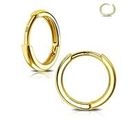 Jewseen Hinged Segment Ring Gold Helix Earring 20G Huggie Hoop Lip Ring 925 Sterling Sliver Septum Clicker 8mm