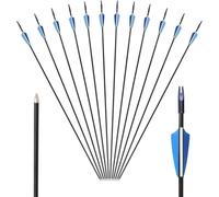 JF HOME BLISS 12 Pcs 80cm Fiberglass Archery Arrows for Recurve Bow, 6.0mm Outer Diameter Hunting Arrows with Steel Tip & Rubber Nock, Practice Targeting Arrows for Beginners (Black/Blue)