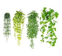 JF HOME BLISS Artificial Hanging Plants Fake Ivy Vine with Pot Faux Greenery Hanging Basket for Indoor Outdoor Home Decor Wall Patio Office Shelf Room Decoration (4)