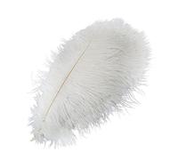 JFBUCF 10 Pcs Natural White Ostrich Feathers, 40-45cm DIY Craft Feather for Wedding Centerpieces Flower Arrangement Christmas New Year Decoration