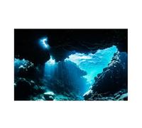 JFNKLFG Fish Tank Background Fish Tank Decor Aquarium Background Sticker,Cloud HD Printing Wallpaper Backdrop Decorations PVC Accesories for Decoration(Green,50x100cm)