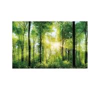 JFNKLFG Fish Tank Background Forest Sticker Aquarium Background Poster Decoration Fish Tank Wall Lanscaping Rainforest Terrarium(GREEN5,30x61cm)