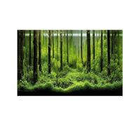 JFNKLFG Fish Tank Background Forest Sticker Aquarium Background Poster Decoration Fish Tank Wall Lanscaping Rainforest Terrarium(GREEN1,30x40cm)