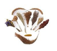 JFWOD Natural Hamster Bedding Flowers Herbs Sprays Treat for Cage Habitat Enclosure Decor for Dwarf Syrian Gerbils Mice Mouse Rat Pet Accessories Supplies