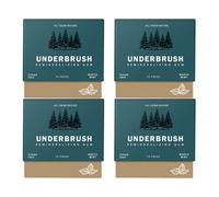 JGFWAT Sugar Free Chewing Gum | Made with Xylitol | Daily Oral Freshness,Preventing tooth decay | Instant Freshness on the Go | No Aspartame, Mastic Mint, Pack of 4