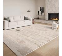 JGGXHM Italian Minimalist Carpets for Living Room Light Luxury Bedroom Decor Carpet Fluffy Soft Large Area Rug Home Cloakroom Mat (100x150cm)