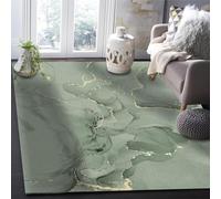 JGGXHM Sage Green Marble Living Room Carpet Coffee Table Floor Mat Study Bedroom Bedside Home Decor Large Rug Floor Mat 60x90cm