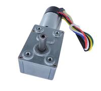 JGY-370GB Worm Gear Encoder Cover Self Locking Motor DC12V 1Pcs(30RPM_24V)