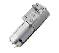 JGY-395 DC Worm Gear Motor, 12V/24V, Self-Locking Reducer Gearbox (31 rpm 24V)