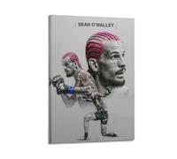 JHFQ Sean O'Malley Boxing Sports Stars PosterWall Art Canvas Poster Music Albums And Movies Decorative Painting for Living Bed Room 24x36inch(60x90cm) Frame-style