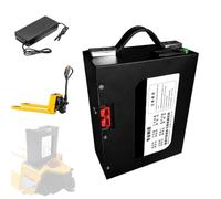 JHKJ 48V 10Ah 15Ah 30Ah Electric Pallet Jack Battery 24V 20Ah 25Ah Electric Forklift Lithium Battery for Electric Stacker Motor with Charger,B,24V 20Ah