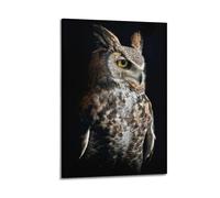 JHKJTK Poster Frame Canvas Wall Art Prints for Bedroom Decor - Animal Owl Gazing Beside Dark Background 24x36inch(60x90cm) Picture Frame Artwork