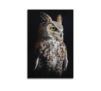 JHKJTK Poster Unframe Canvas Wall Art Prints for Bedroom Decor - Animal Owl Gazing Beside Dark Background 24x36inch(60x90cm) Picture Unframe Artwork