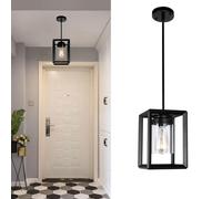 JHLBYL 1-Light Black Ceiling Pendant Light Fitting with Clear Glass Shade, Farmhouse Metal Cage Hanging Ceiling Lights with E27 Dimmble Base for Kitchen Island, Entryway, Dining Room, Hallway