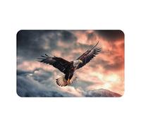 JHLMN Flannel Doormat Absorbent Non-Slip Floor Mat The Eagle Flies Bravely in The Sky Welcome Door Mats Personalised Entry Way Mat Washable Bath Rug for Outdoor Kitchen Bedroom 20 X 31.5 Inch