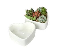 JHNIF 2pcs Heart-Shaped Pure White Ceramic Cactus Succulent Plant Pots.
