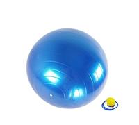JHSDHYD Yoga Ball PVC Fitness Yoga Ball Thickened Explosion-proof Exercise Home Gym Pilates Equipment Balance(45cm Blue)