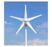 JHXHFJXZ 5000W 3000W Wind Turbine Generator Kit, Horizontal Wind Turbine Generator Powerful 12V 24V 48V Homeuse Windmill for Home, Farm, RVs, Boats(5blades,24V_5000W)