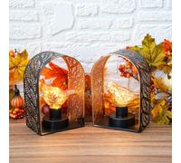 JHY DESIGN Set of 2 Bird Battery Operated Table Lamp Unique Cordless Sconces Lantern Metal Cage Wall Mount Linghts with 6-Hour Timer for Home Living Room Bedroom Kitchen Hallway Stairway