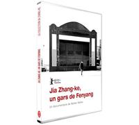 Jia Zhang-ke, Un Gars de Fenyang