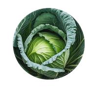 JIAGLINDE Bright Cabbage Print Round Cloth Mousepad, Non Slip Washable Rubber Base Mousepad for Office Desktop Laptops Wireless Mice 8in