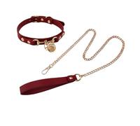 JIAHG Faux Leather Gothic Choker with Leash Set Rave Punk Goth Accessories O-Ring Collar for Women Halloween Sexy Cosplay, One Size, Faux Leather, No Gemstone