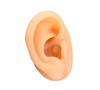JiangbihanXX Artificial silicone model of the right human ear, designed for simulating ear picking, ear piercing teaching, and acupuncture.