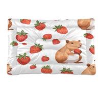 JiangGgen Washable Dog Bed,Cute Capybara Anti-Slip Dog Crate Bed Pet Beds Sleeping Mat for Large, Medium, Small Pets 24x36in