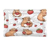 JiangGgen Washable Dog Bed,Cute Capybara Anti-Slip Dog Crate Bed Pet Beds Sleeping Mat for Large, Medium, Small Pets 24x36in